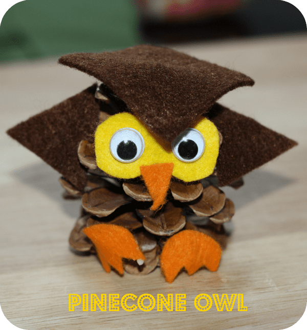 Pinecone Owl