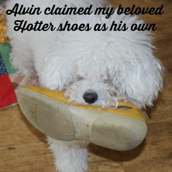 Alvin claimed my hotter shoes