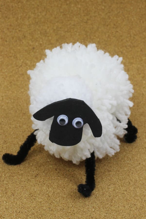 pompom sheep 6