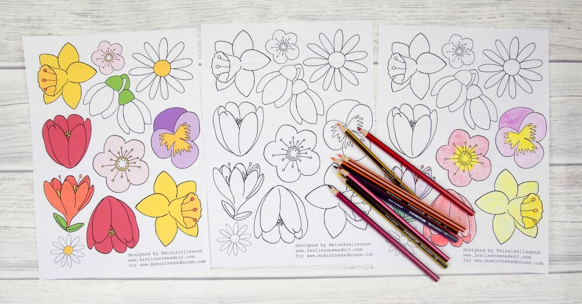 Free Flower Colouring Page for Adults – Relaxing and Intricate Designs | Mum In The Madhouse free-flower-colouring-page-for-adults-relaxing-and-intricate-designs-mum-in-the-madhouse