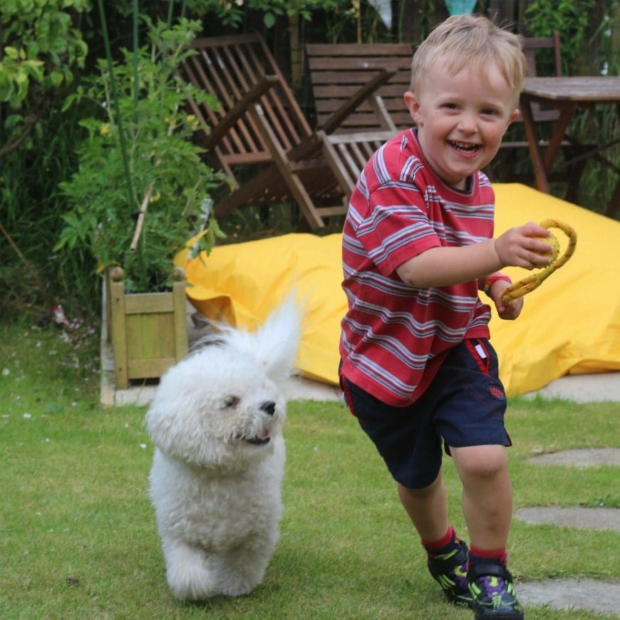 5 reasons why every family needs a dog. #3 had me in stitches - so funny! 