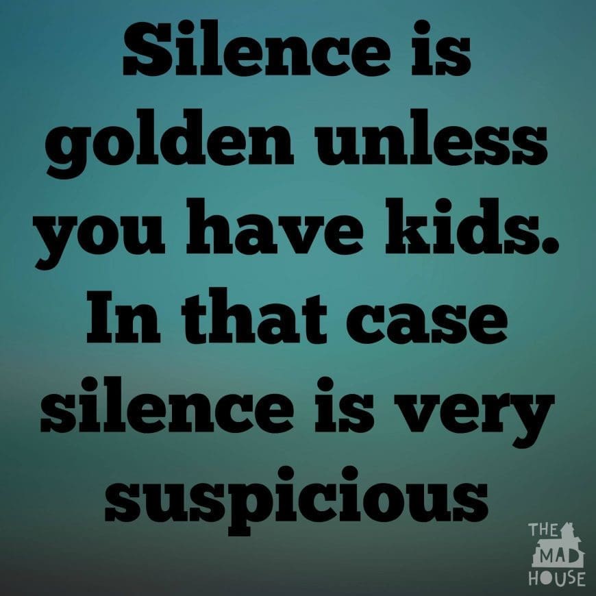 Who ever said that "Silence is Golden" must never have had children. Silence in my house means that the boys must be up to something.