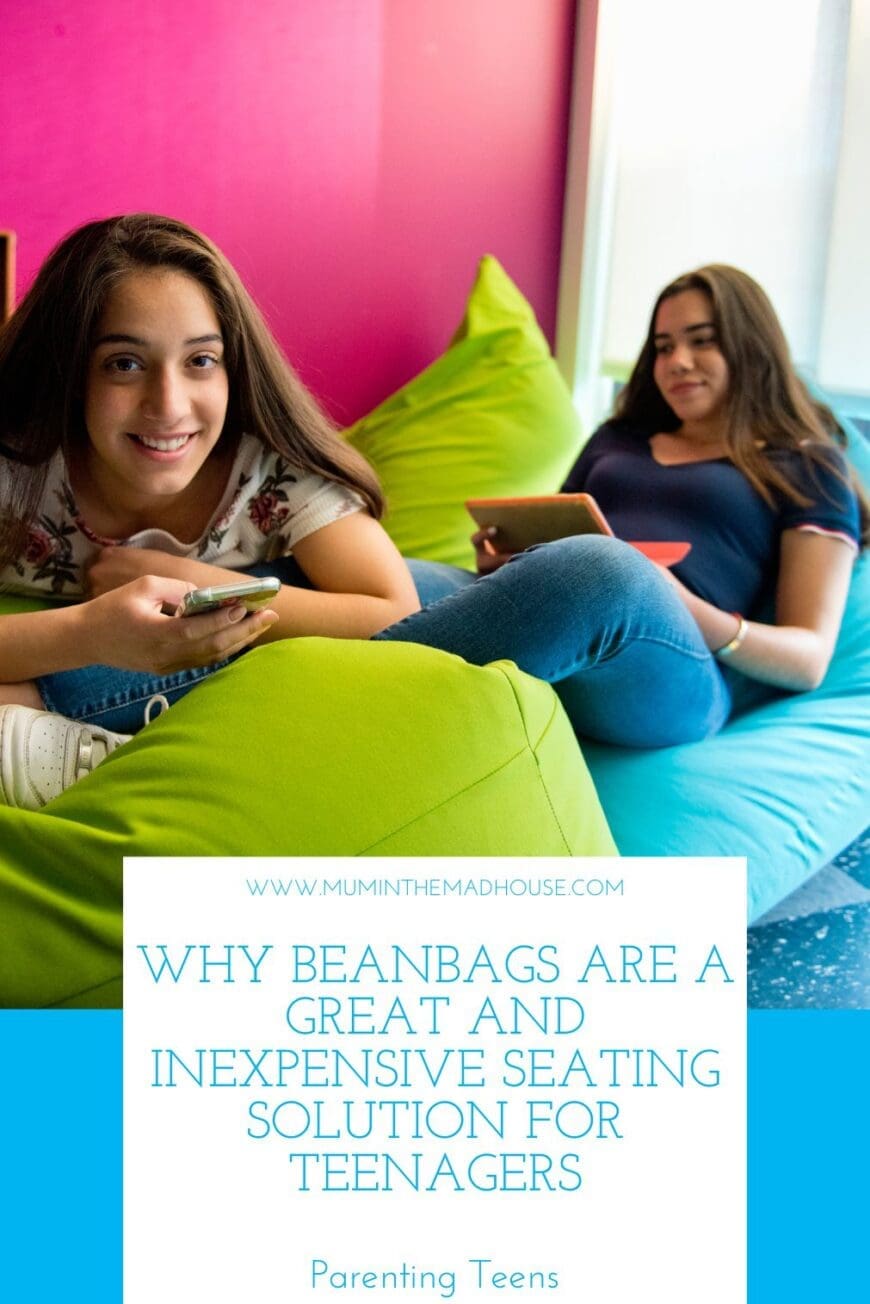 Create the perfect chill zone for your teenager with beanbags! These budget-friendly seating options are not only comfortable and stylish but also adaptable to any room layout. Explore the benefits of adding beanbags to your teen's space and why they're the go-to choice for both fun and functionality!