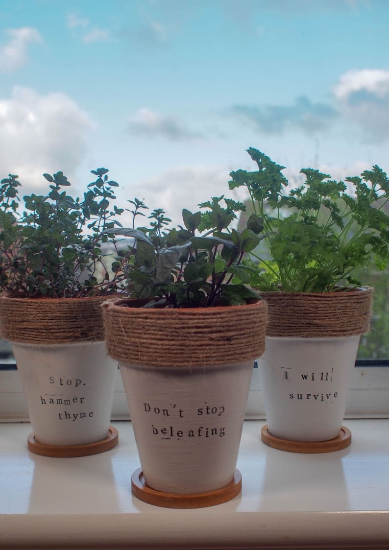 These Painted Terracotta Plant Pots with herb puns are a simple but effective craft upcycle perfect for any foodie or gardener. 