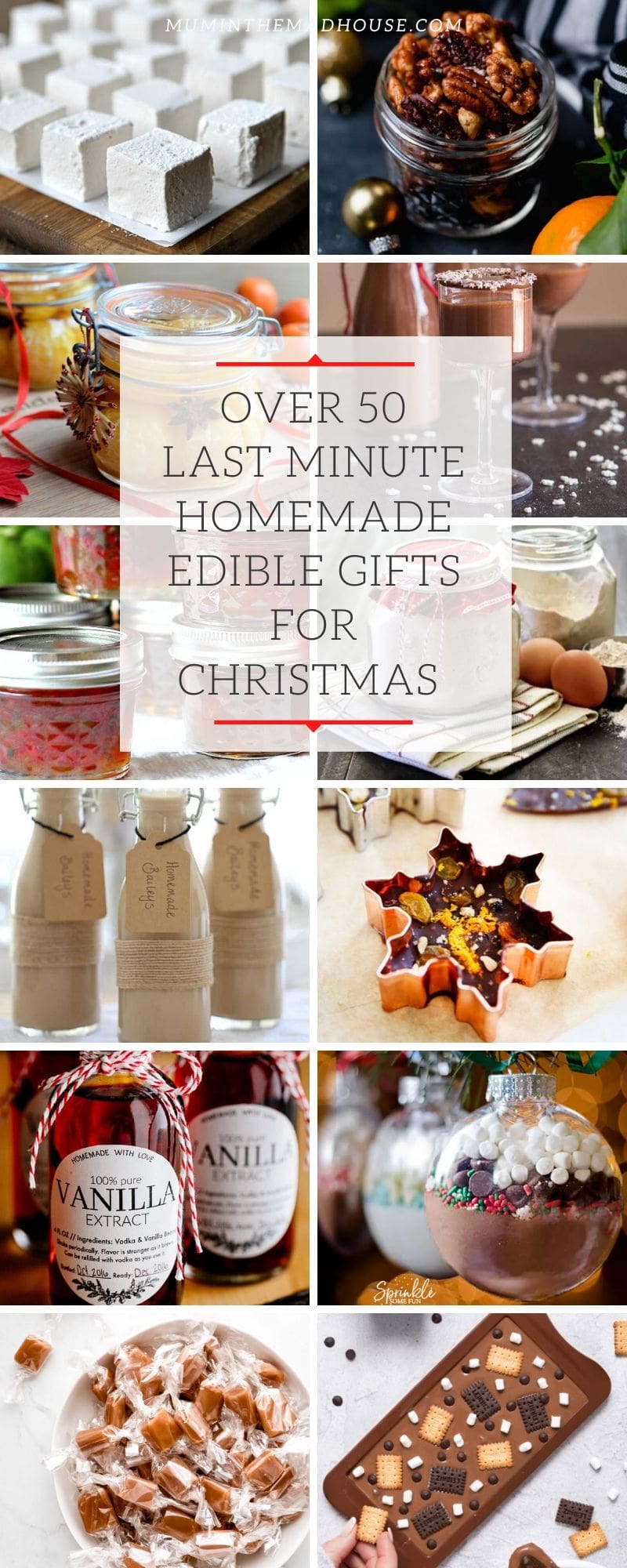 These food DIY Christmas gifts are perfect for any food lover in your life! There are ideas for spreads, baked goods, mixes, drinks and more. Something for anyone in your life. 