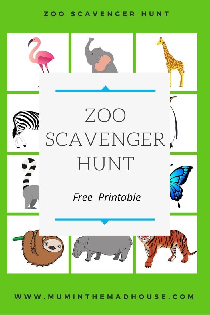 Zoo Scavenger hunt