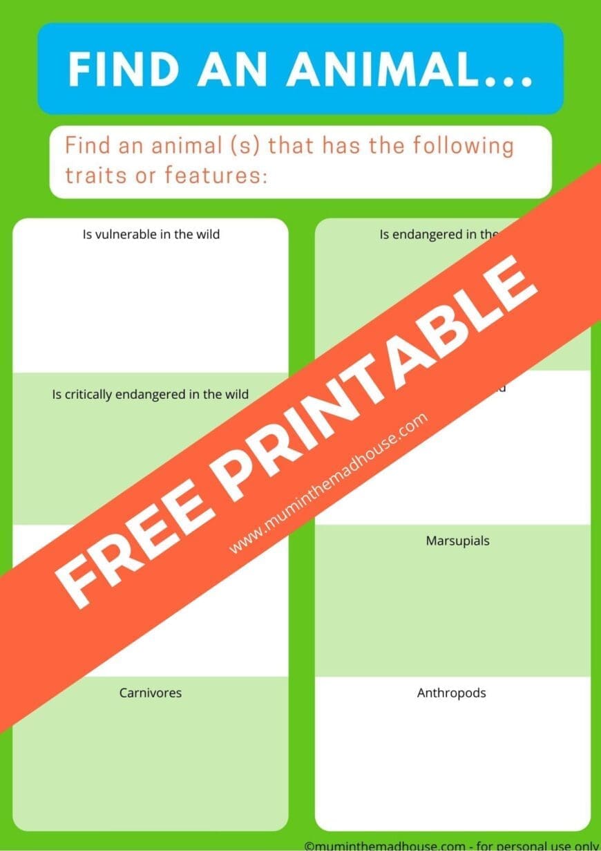 Find an animal - zoo scavenger hunt printable 