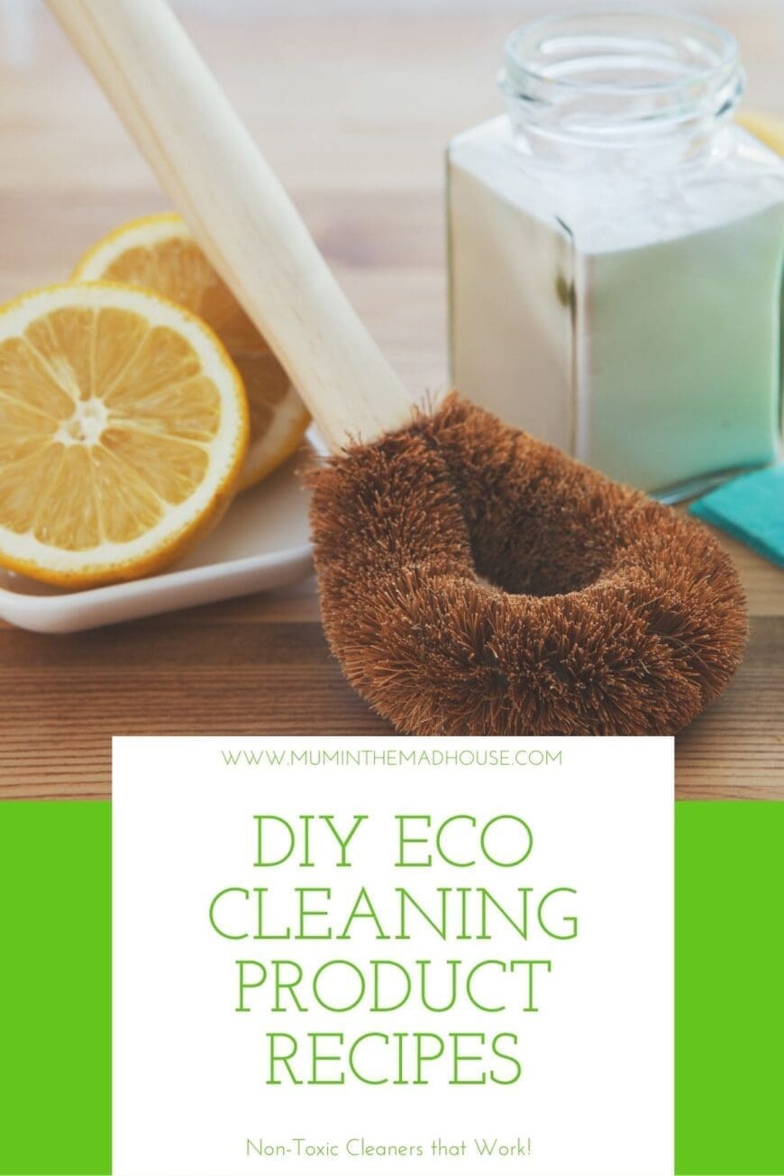 Lemon, Loofah and Bicarb natural cleaning products 