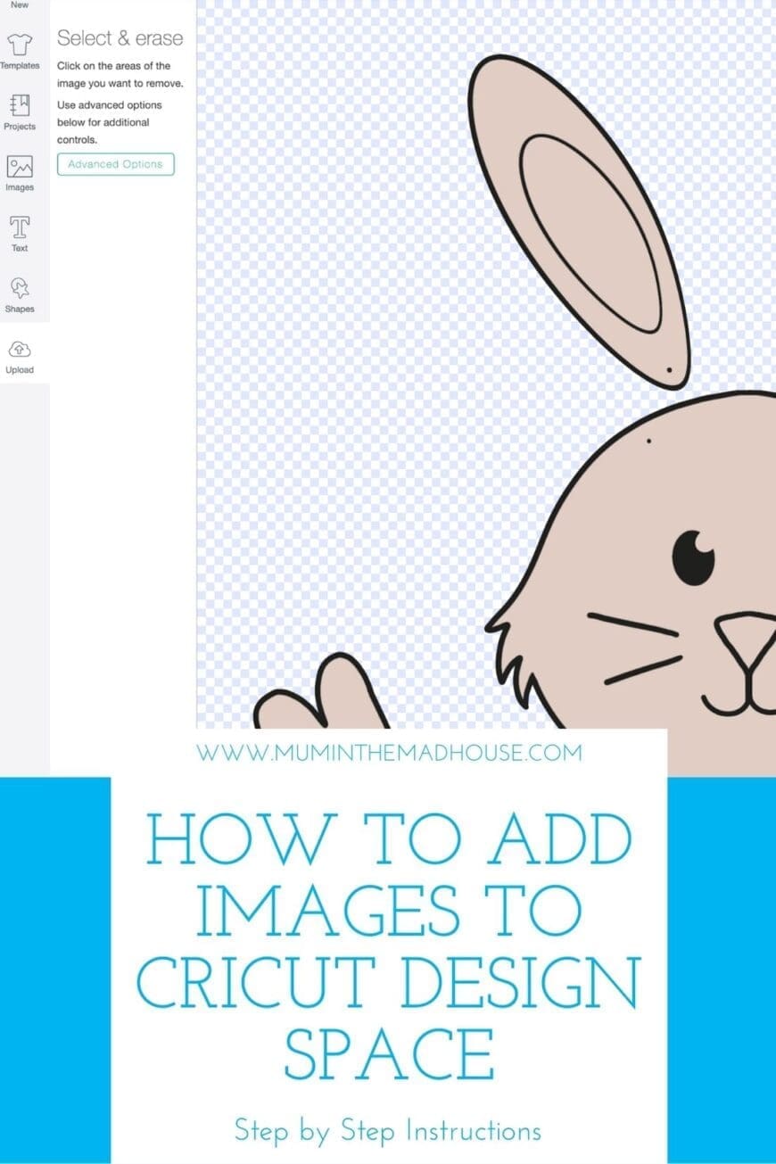 Follow our step by step detailed tutorial on how to upload your own images to Cricut Design Space. We talk you through file types and how to tell if you can use them.