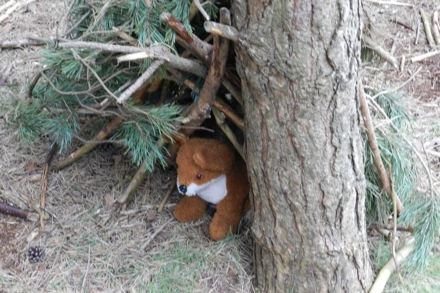 A soft toy fox in a miniature den made of pine twigs