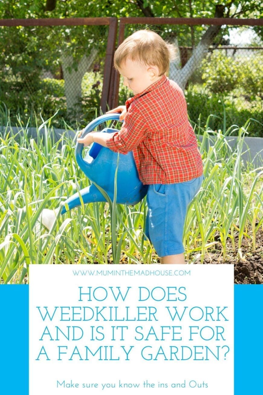 How Does Weedkiller Work and is it Safe for a Family Garden? Understand what weedkiller is and what is does before using in the family garden.