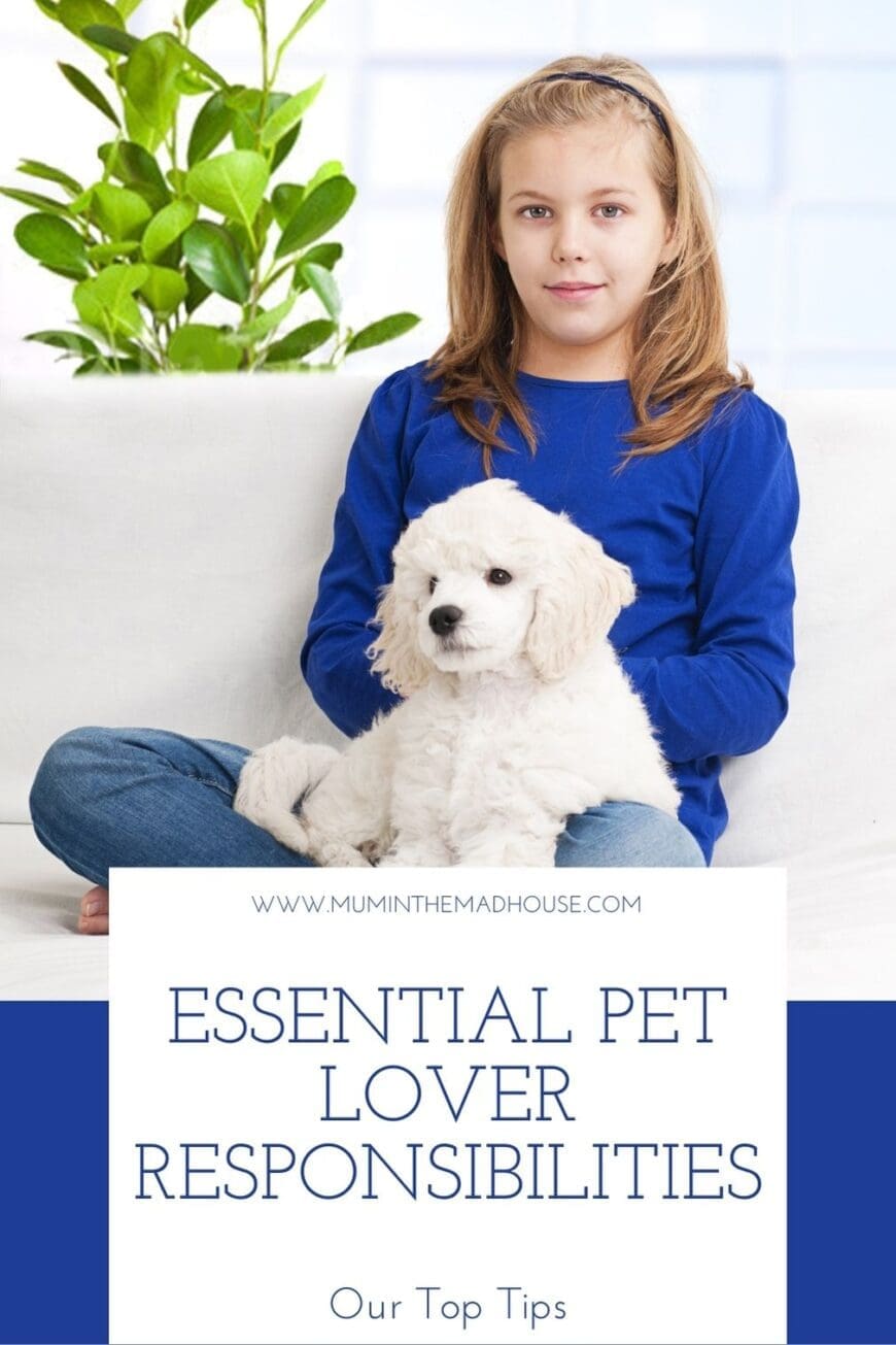 Discover vital pet lover duties you can't overlook! Uncover key responsibilities for a happy, healthy furry friend. Your guide to being a responsible pet lover.