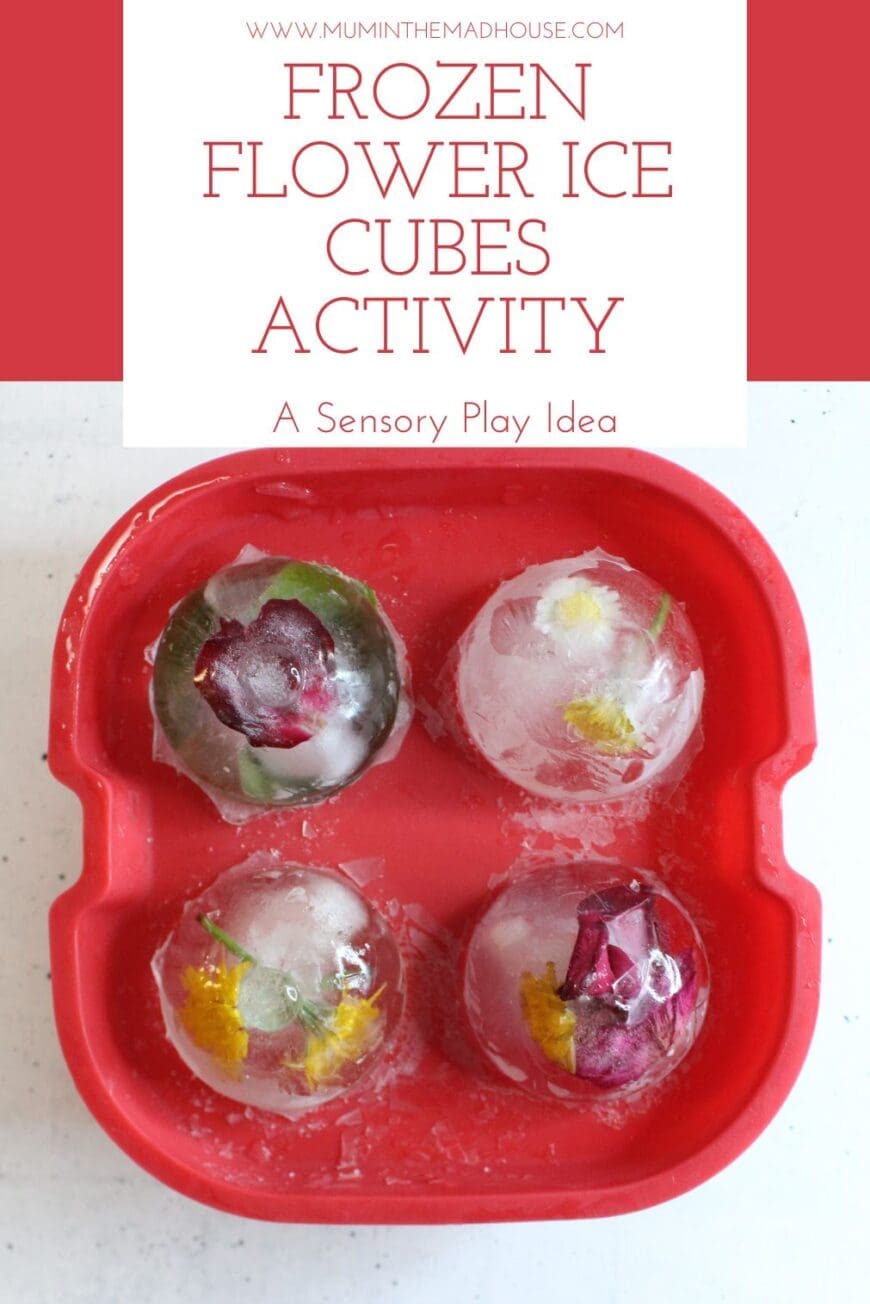 Frozen Flowers Ice Play is a fun, cool hands on sensory activity for kids. Learn how to make these beautiful ice cubes with this easy tutorial