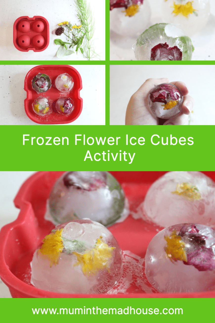 Chill Out with Frozen Flowers Sensory Play!