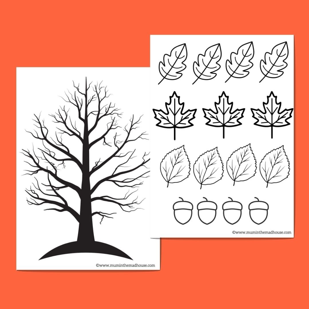 Autumn Leaves and Tree