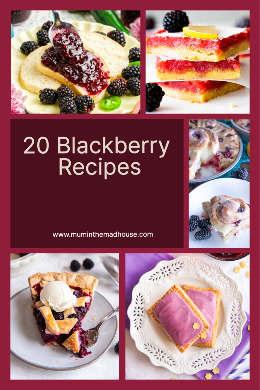 Savour the sweetness of summer with these 25 irresistible blackberry recipes! 🍇 From pies to jam, and bakes, there's a blackberry delight for everyone! Click now to explore the flavours of these fruity goodies!