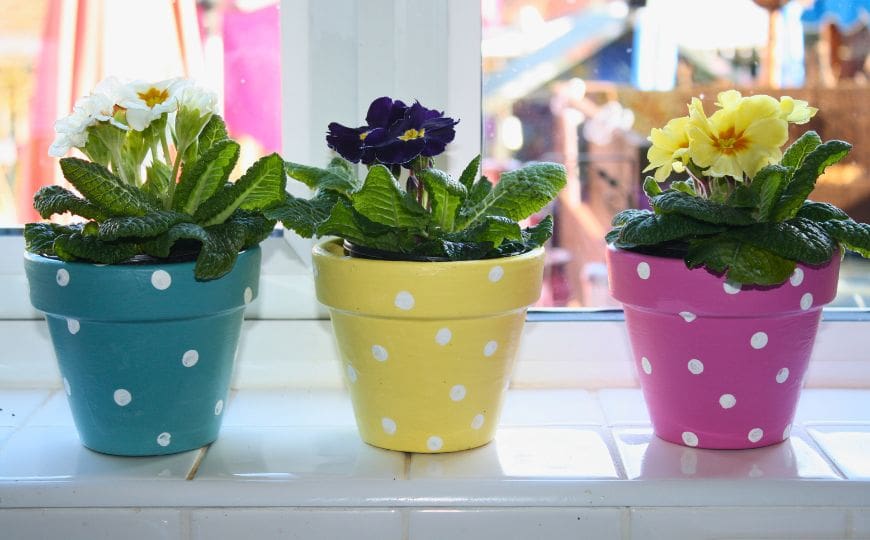 plant in white pot Kendall Pot in White – ECOVIBE