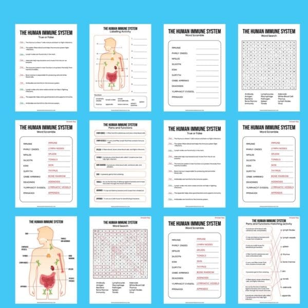 Download the Free Human Immune System Activity Pack | Mum In The Madhouse