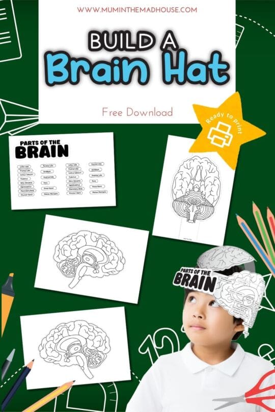 Build a Brain Hat Free Printable for Kids to Learn Brain Anatomy
