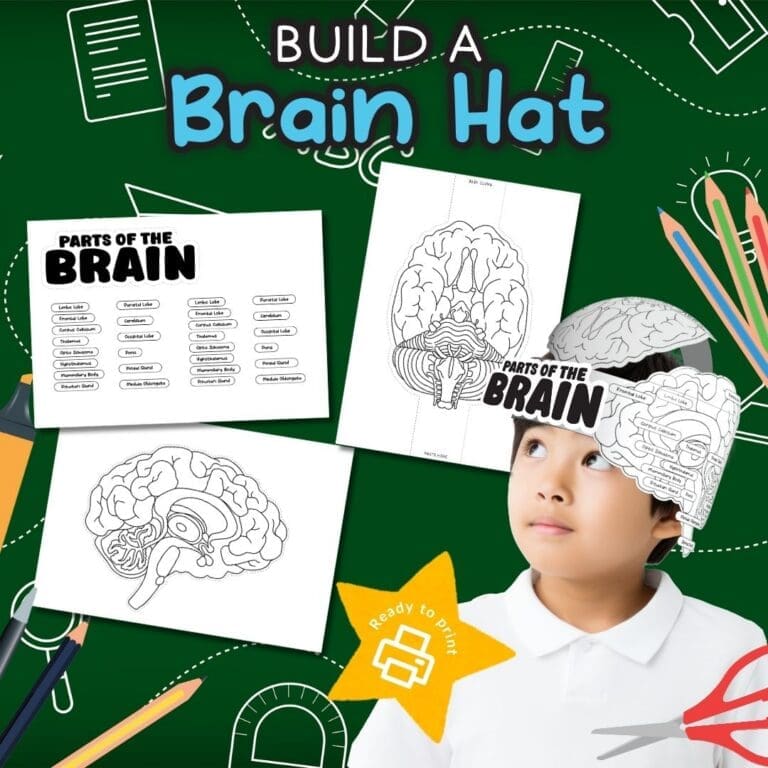Build a Brain Hat Free Printable for Kids to Learn Brain Anatomy