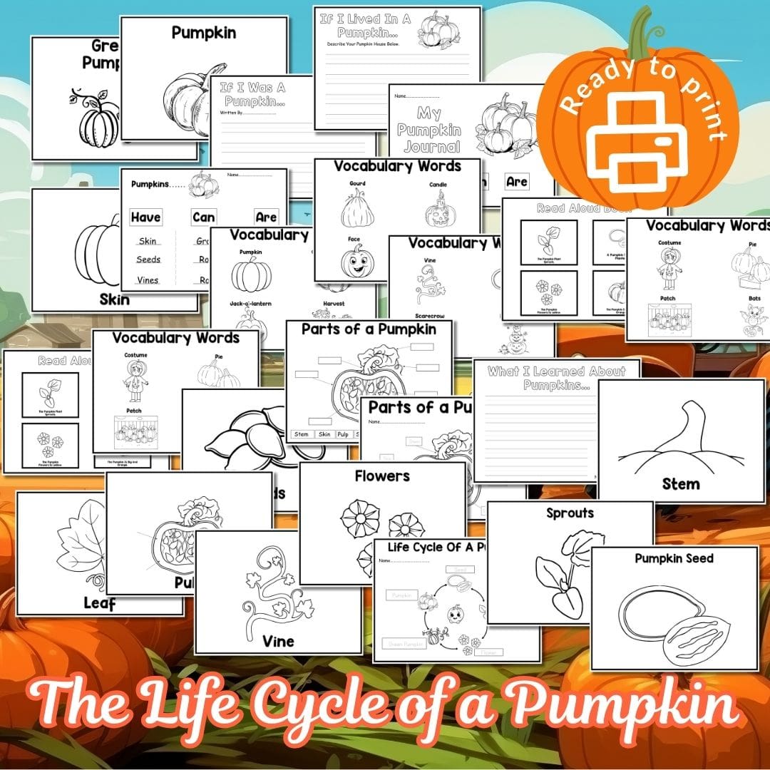 Free Pumpkin Life Cycle Printable Pack
