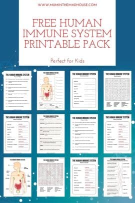 Example Activity For Immunity Free Immune System Activity Sheets – Printable Science Pack for Kids