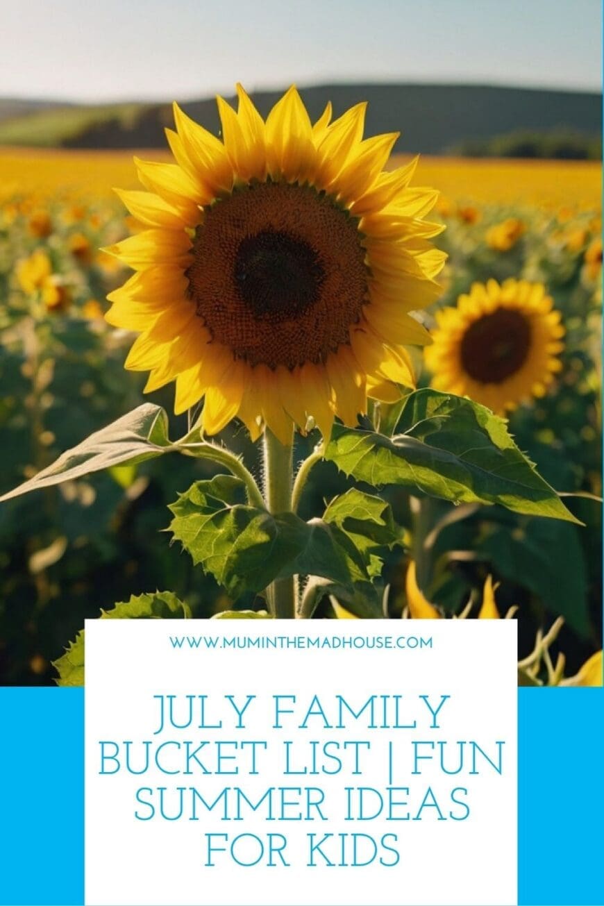 From long evenings and picnics to stargazing and berry picking, discover gentle ways to enjoy July with your family. No pressure, just possibilities.